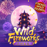 Pháo hoa Wild game screenshot